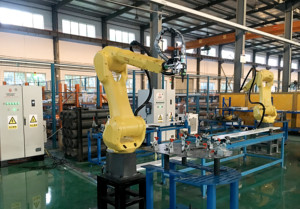 Robot industriale 6 Assi Manipolatore CNC Braccio Robotico per il taglio e la saldatura 10kg 12kg 20kg