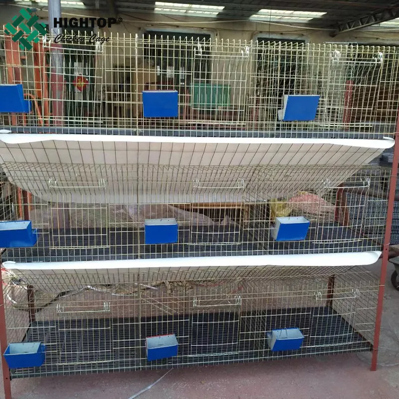 Jaula de conejo profesional de malla de alambre galvanizado, para granja de conejos