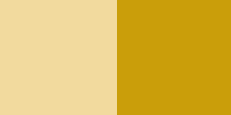 Gold + Beige Strap