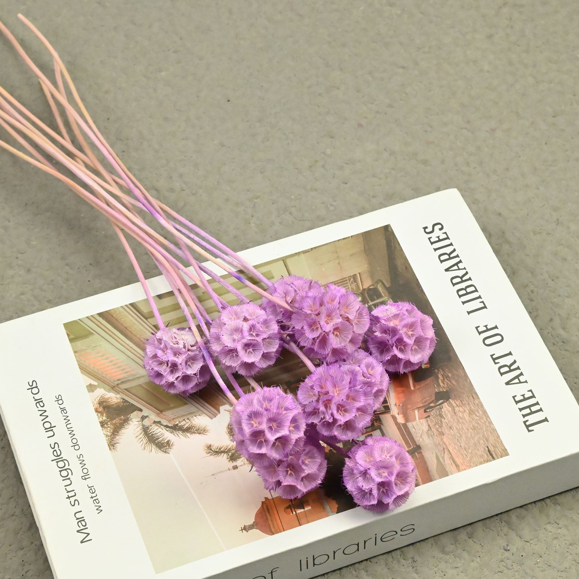 Rose mauve