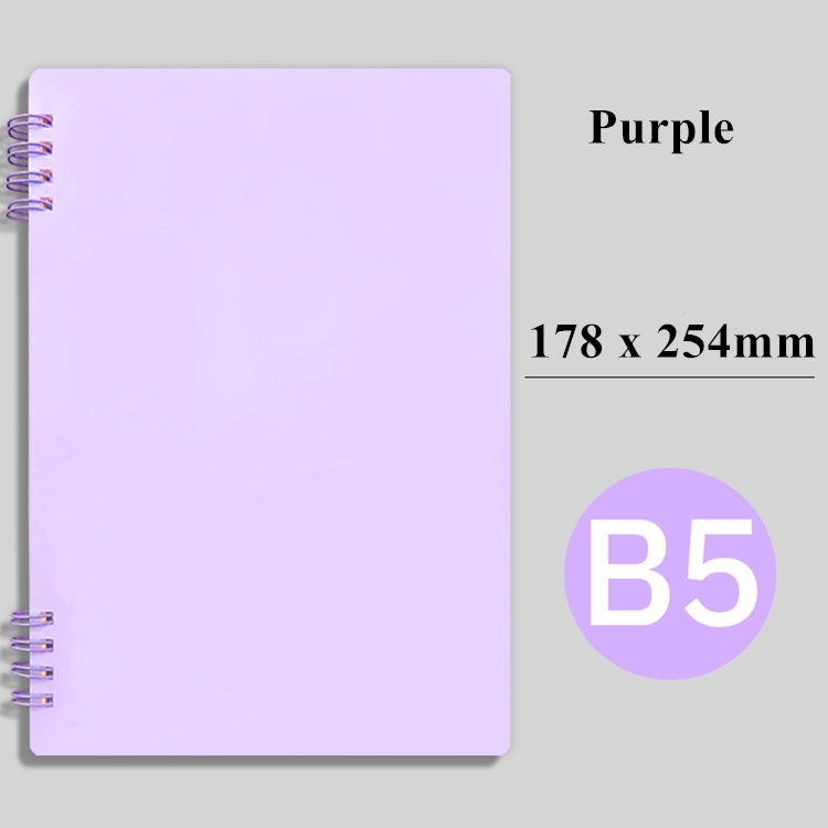 Ligne B5 violette