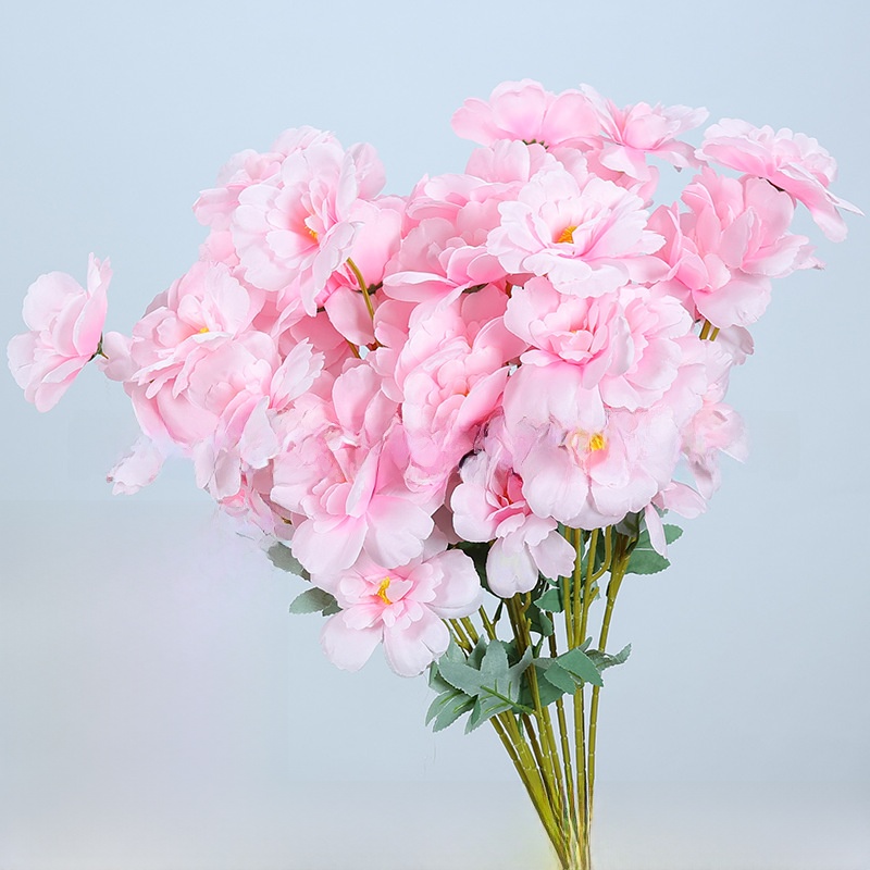 6 peonies/1 stem