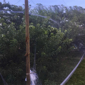 <strong>1</strong>.5x1.5cm 100% Nylon <strong>Garden</strong> <strong>Net</strong> Fog <strong>Net</strong> Bird No Knot Anti-bird <strong>Net</strong> - Product Image 6