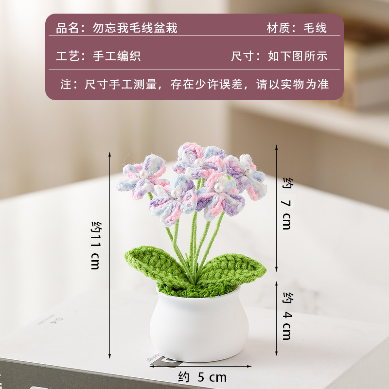 Gradient purple forget-me-not potted plant