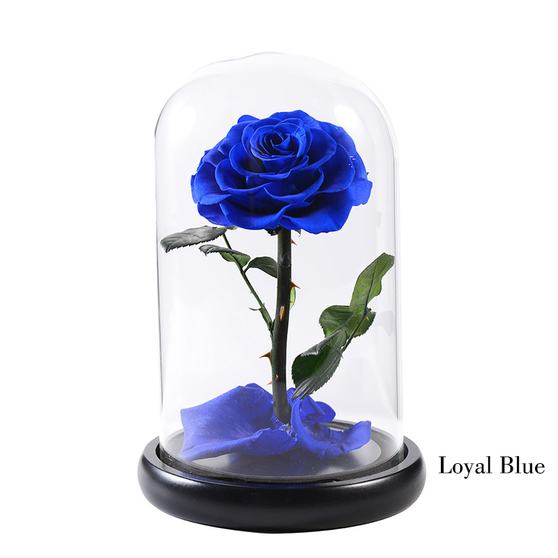 05 loyal blue