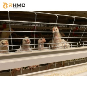 自动家禽设备H型3层4层鸡笼肉鸡电池笼