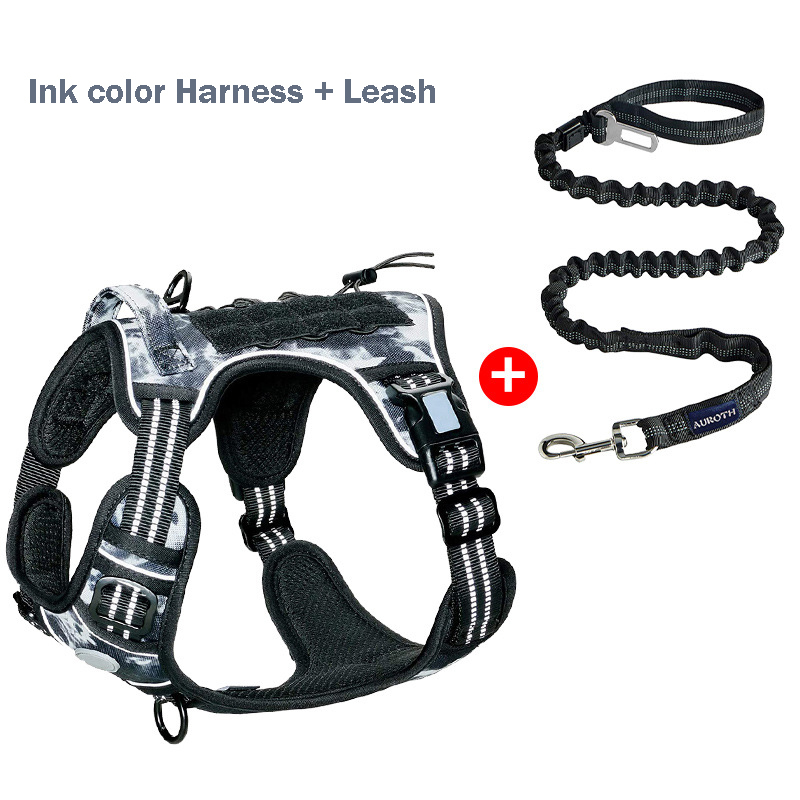 Black+Blue Harness+Leash