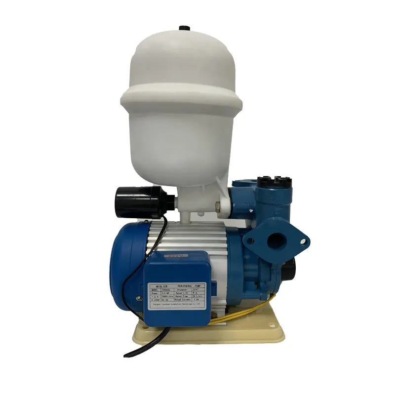 Home Water Booster Pump Residential Garden Irrigation Pump