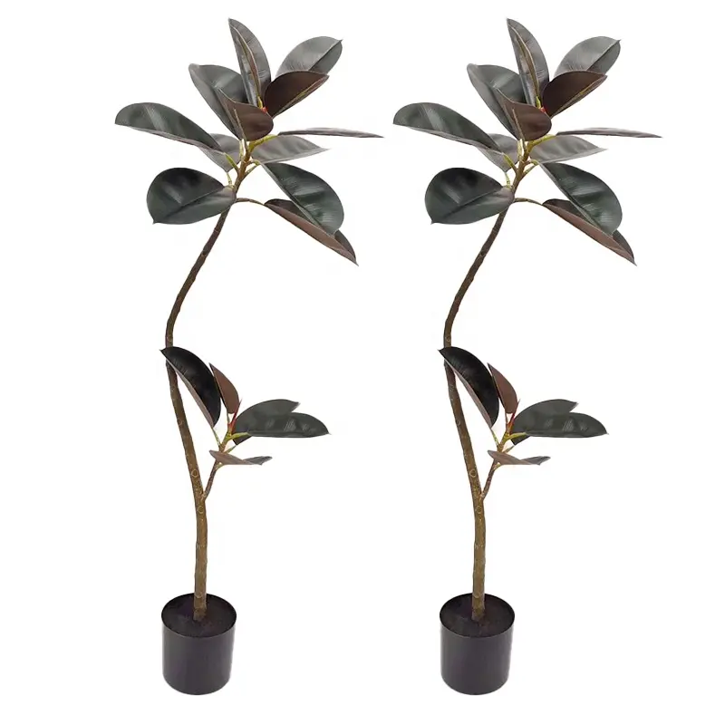 4/5/6/7FT Jardin Aménagement Paysager Ficus Bonsai Plantes en caoutchouc pour la décoration intérieure moderne