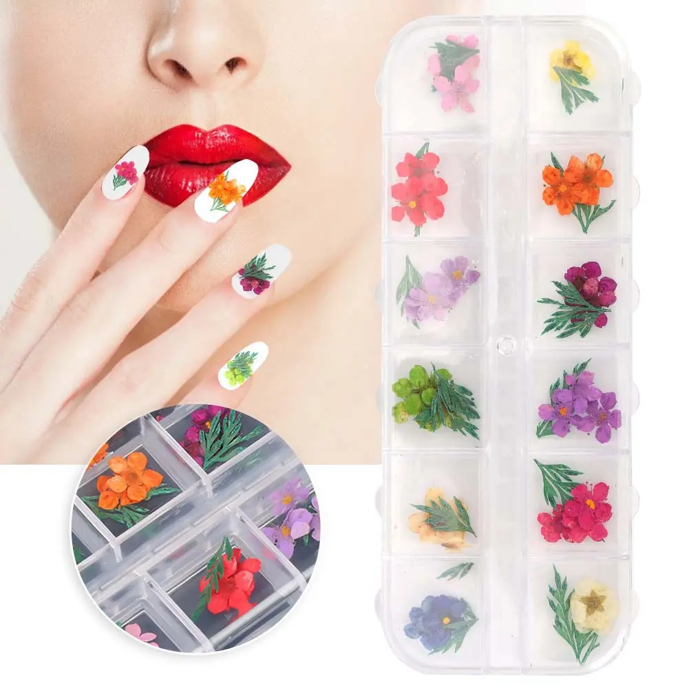 Résine véritable pour décoration des ongles, 1 boîte, fausse fleur séchée naturelle, 3D, pour Nail Art, tendance