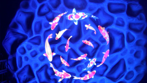 80W mô hình nước gobo ánh sáng tưởng tượng đại dương nước gợn máy chiếu quảng cáo nước hiệu ứng ánh sáng máy chiếu - Product Image 5