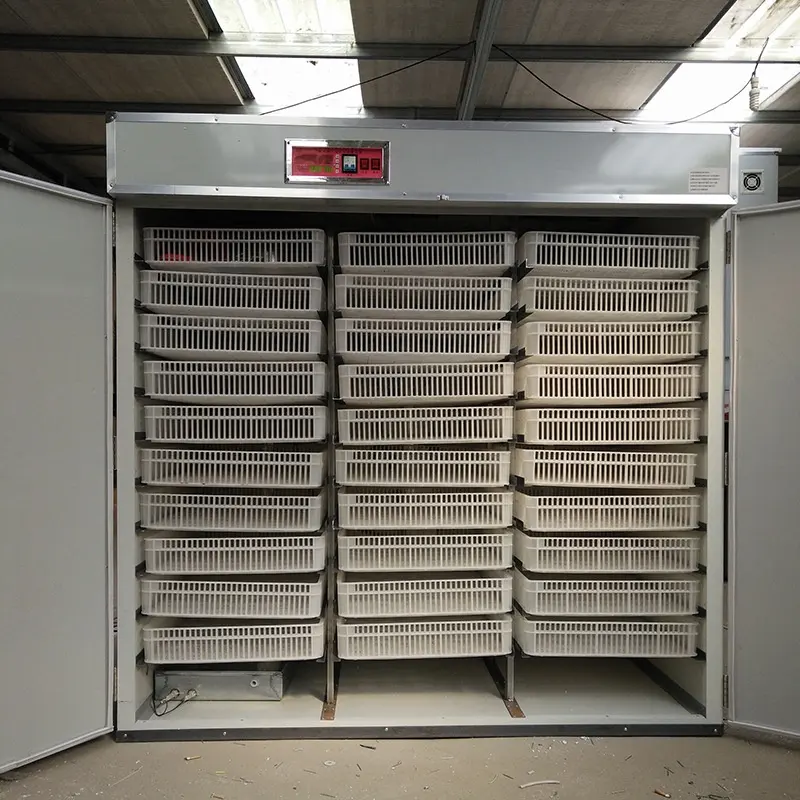 Incubateur d'oeufs de poulet 30000 utilisé en usine 33792 incubateur d'oeufs de volaille 22528 incubateur Machine à couver