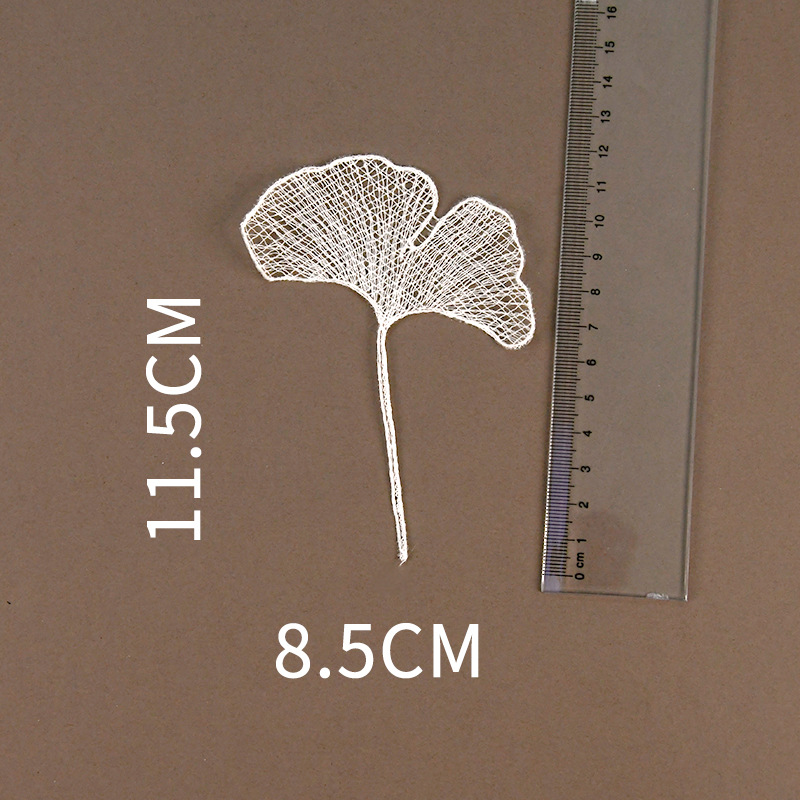 Blanco-11585-ginkgo biloba