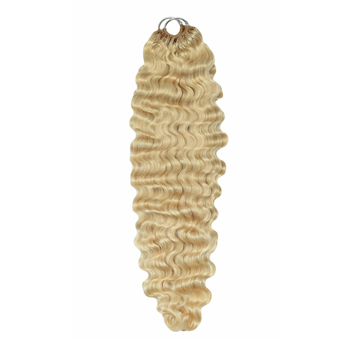 #613 bouclés birmans