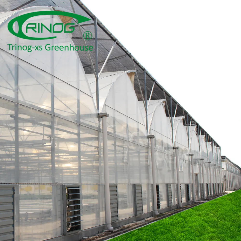 Trinog greenhouse em estoque, entrega rápida, filme agrícola multi-span, casa verde