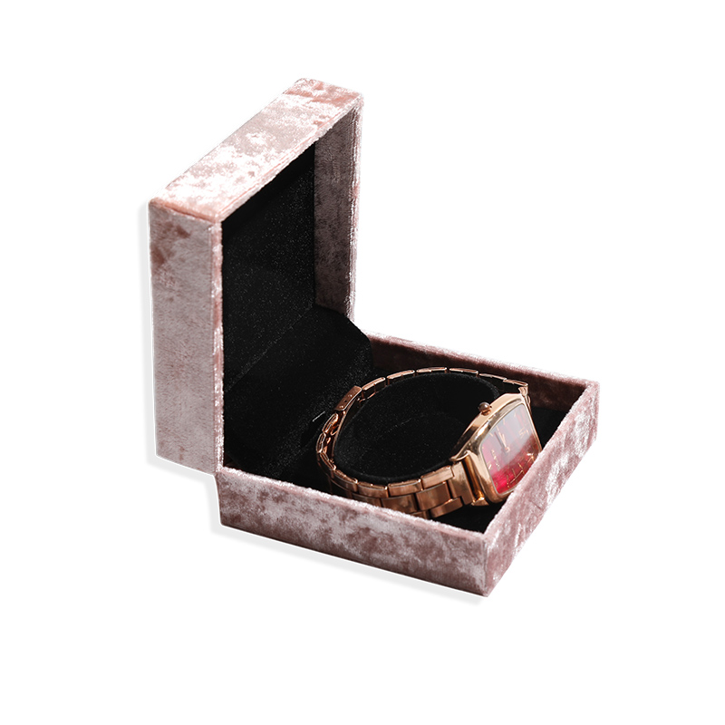 Boîte de montre