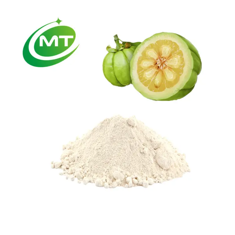 Estratto di Garcinia Cambogia polvere dimagrante campione gratuito natura pura Garcinia cambogia biologica 60% acido idrossicitrico polvere HCA