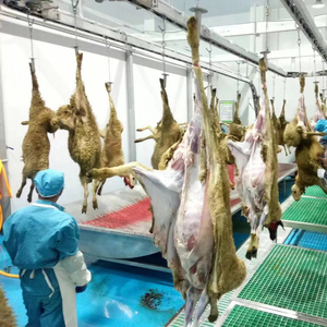 高生产率绵羊/山羊胴体加工手动输送 (管轨、双轨、平轨) 羊肉屠宰机 - Product Image 2