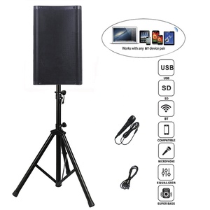 Professional Audio 1200W 12&quot; Subwoofer DSP <strong>Function</strong> Sound Box Wireless Karaoke Sets TWS High Power DJ/ PA Speaker <strong>System</strong>