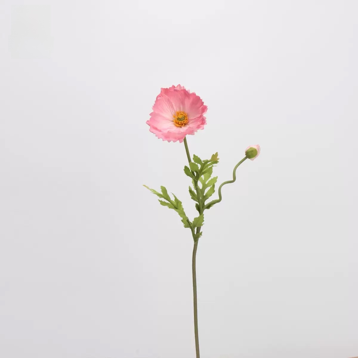 puPetit Yu Meiren (rose)