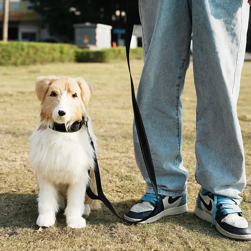 Corde de plomb d'entraînement Durable avec fermoirs en métal chat chien Clips de laisse de Traction pour animaux de compagnie fermoirs de corde avec boucle