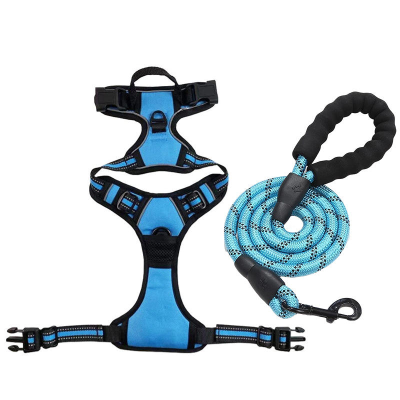 Sky blue-chest harness + leash