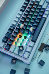 FG75 özelleştirme Mechanicai klavye FD taşınabilir mekanik oyun klavyesi Windows Laptop için LED aydınlatmalı kompakt 82 tuşları - Product Image 3