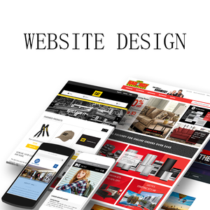 Shopify Website Design Vollständige Anpassung Website Design und Entwicklung E-Commerce Website Designer