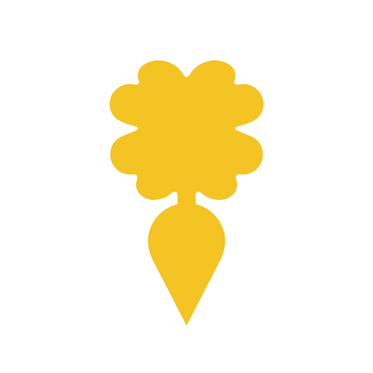 Fleur de radis