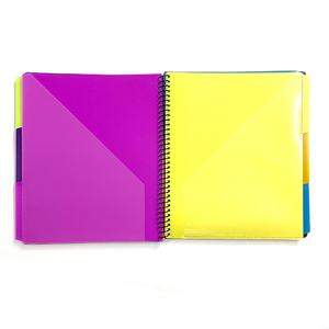 High Quality Clear File New Arrival Portable A4 <strong>Document</strong> Organizer Spiral <strong>Notebook</strong> Display Books with Colored Index Tab Divider - Product Image 5
