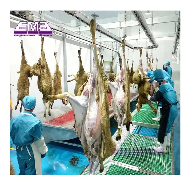 Fabrika fiyat koyun kanama koleksiyonu tankı lal koyun mezbaha ekipmanları keçi kesim makinesi için kuzu Abattoir