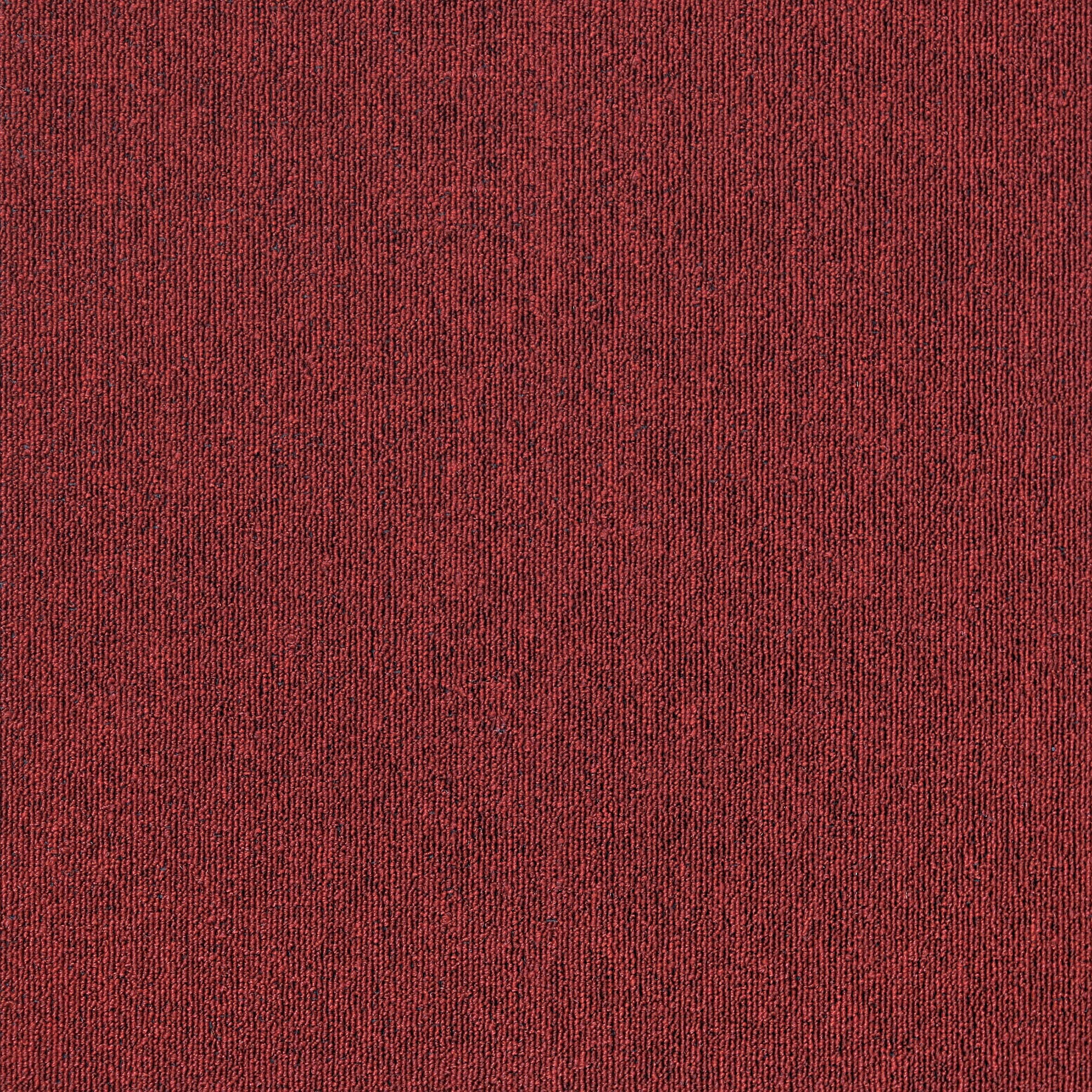 MDL11