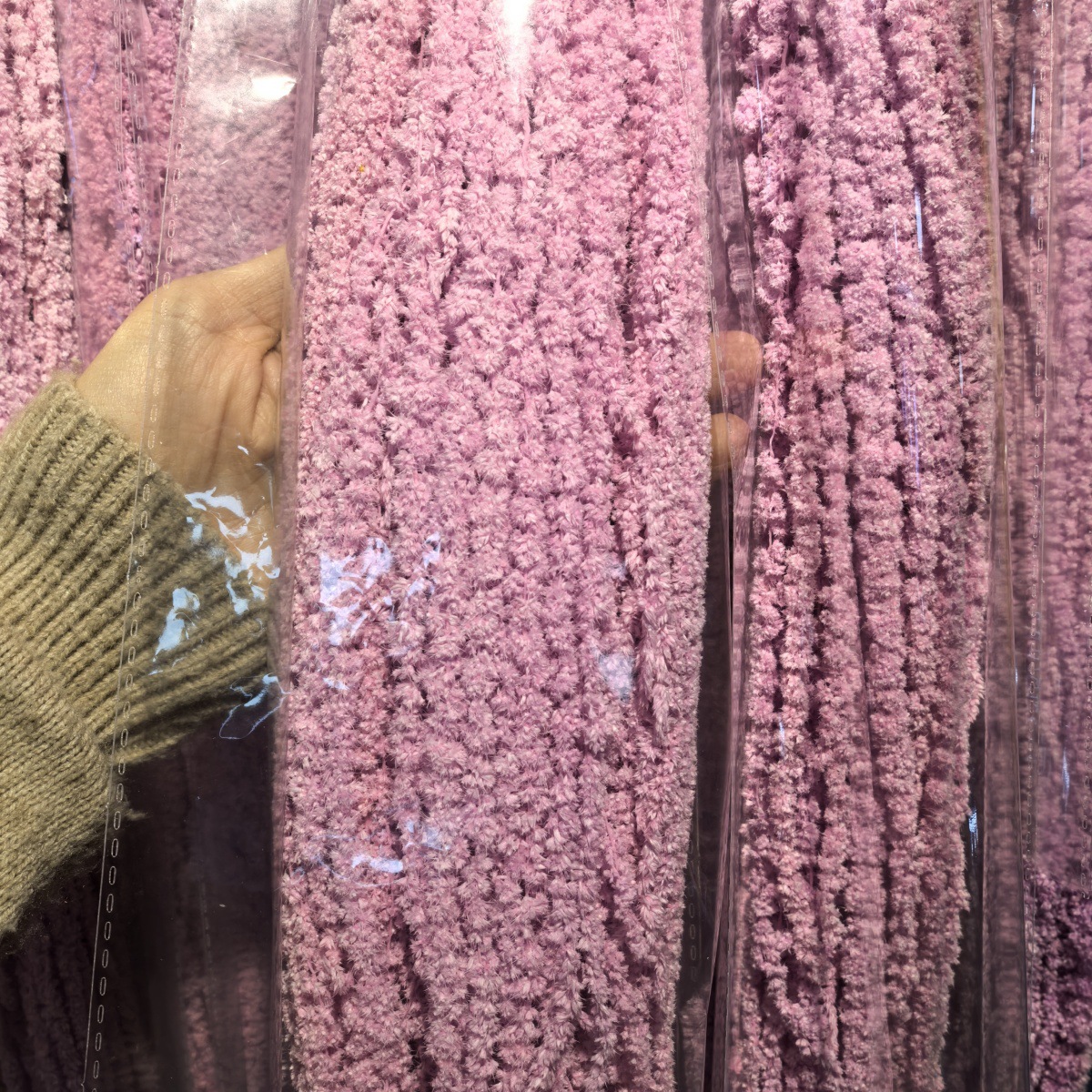 Rose Taro Doux