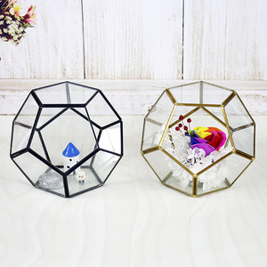 Hồ Cạn Khối Lập Phương Được Thiết Kế Đẹp Mắt Cho Cây Trồng - Product Image 2