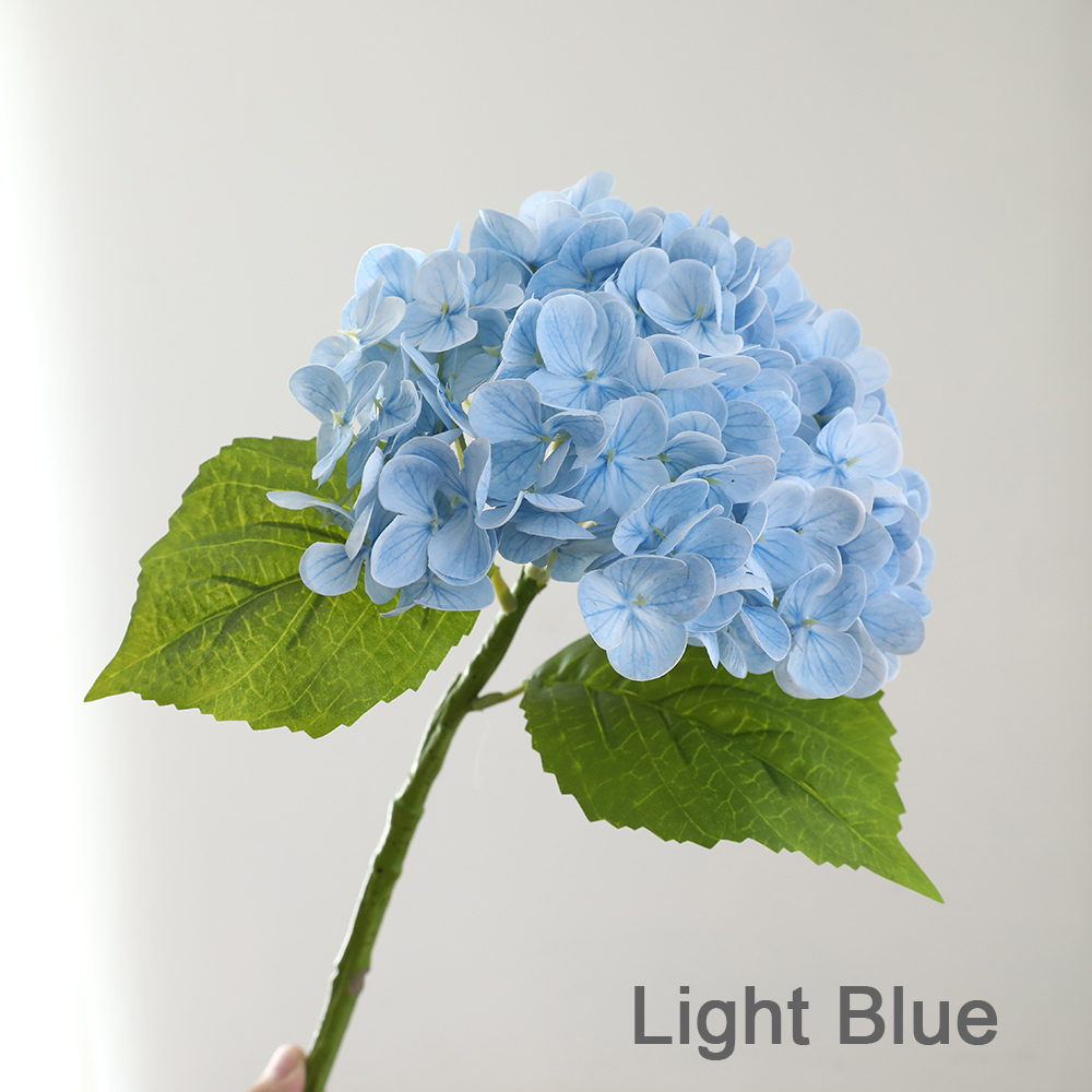 Bleu clair