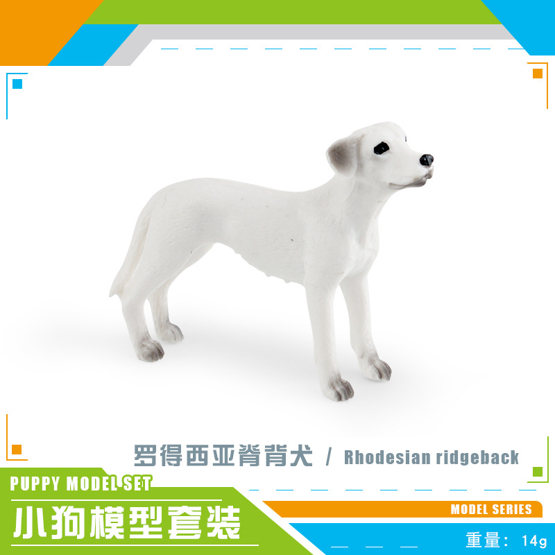 PL127-2585 Rhodesian Ridgegback 14g