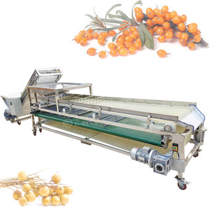 Commercial Dates Size Sorting Machine Palm Dates Size Sorter Grader Jujube <strong>Classifier</strong> Machine - Product Image 5