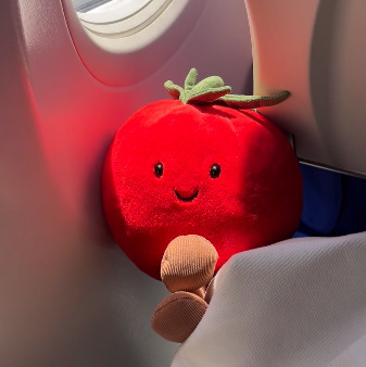 Tomate 17cm