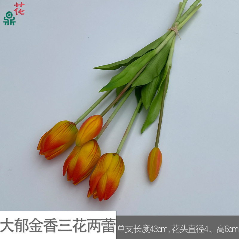 Grande tulipe à trois fleurs et deux boutons (SCN, orange)