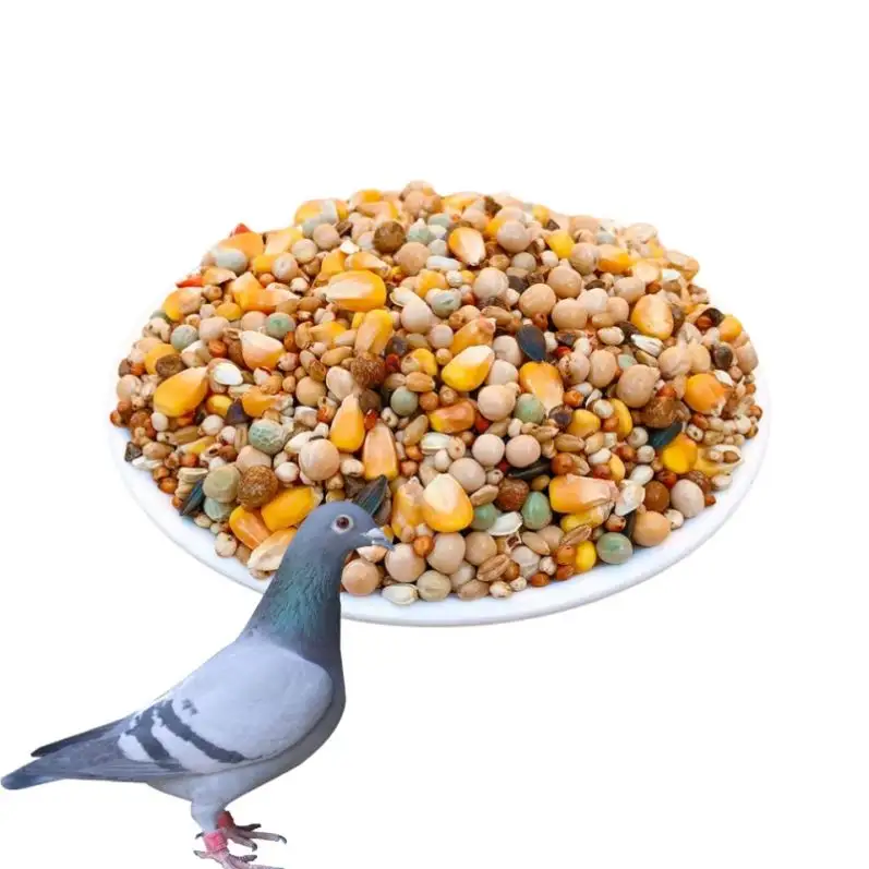 Haute qualité 2.5kg 50kg nourriture pour animaux de compagnie nourriture pour oiseaux nourriture pour Pigeon mélange naturel graines mélangées nourriture pour Pigeon de course avec du maïs