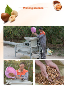 Hazelnut <strong>Shelling</strong> <strong>Machine</strong> <strong>Sorting</strong> Palm <strong>Kernel</strong> Crushing Processing Line Almond Sheller Price - Product Image 6