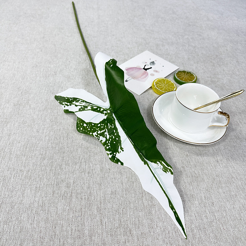 Seule la fleur de lys calla est blanche