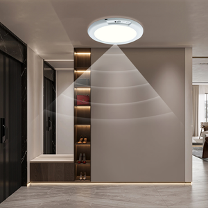 Banqcn 7-Inch 4200mAh <strong>Sensor</strong> Lamps Magnetic <strong>Function</strong> Small Round Ceiling <strong>Light</strong> LED Panel Rechargeable Round Panel <strong>Light</strong> LED - Product Image 5
