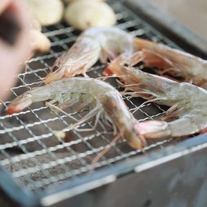 全新设计不锈钢烧烤网多功能烹饪烧烤格栅更换 - Product Image 5