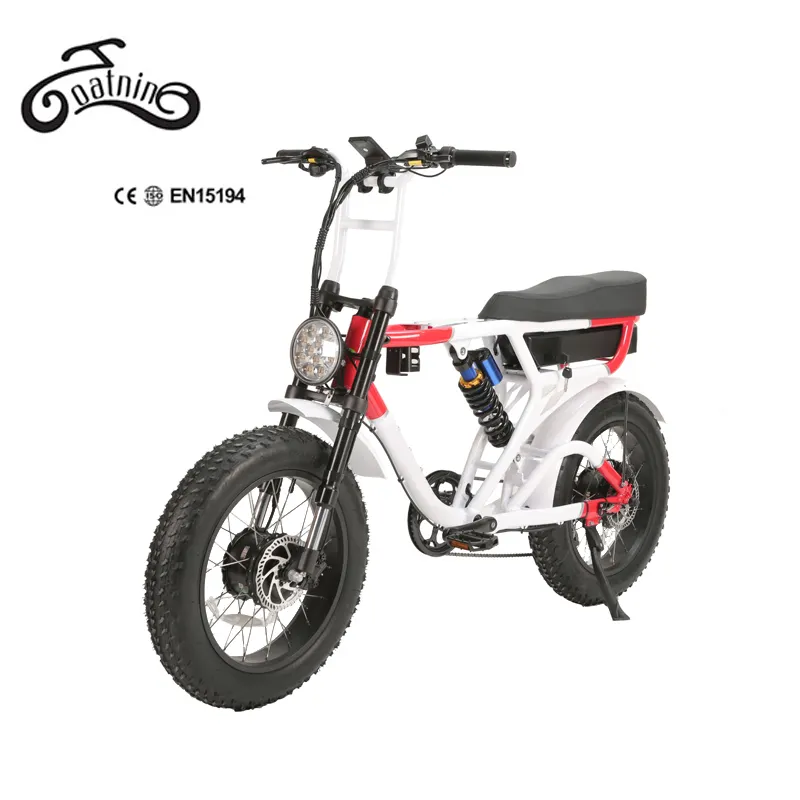 48v1000w e 자전거 풀 서스펜션 지방 ebike, 전기 자전거 듀얼 모터 듀얼 배터리