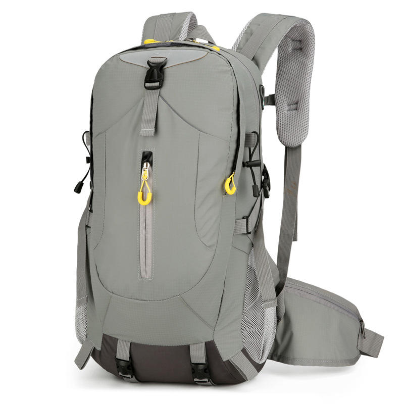 Gray (with rain cover) - 30l