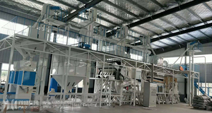 15TPH chicchi di cereali automatici e lavorazione del grano linea di pulizia e smistamento per il mulino di farina - Product Image 2