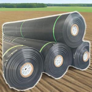 Factory 1mm 1.5mm <strong>HDPE</strong> 40 <strong>MILs</strong> Geomembrane - Product Image 1