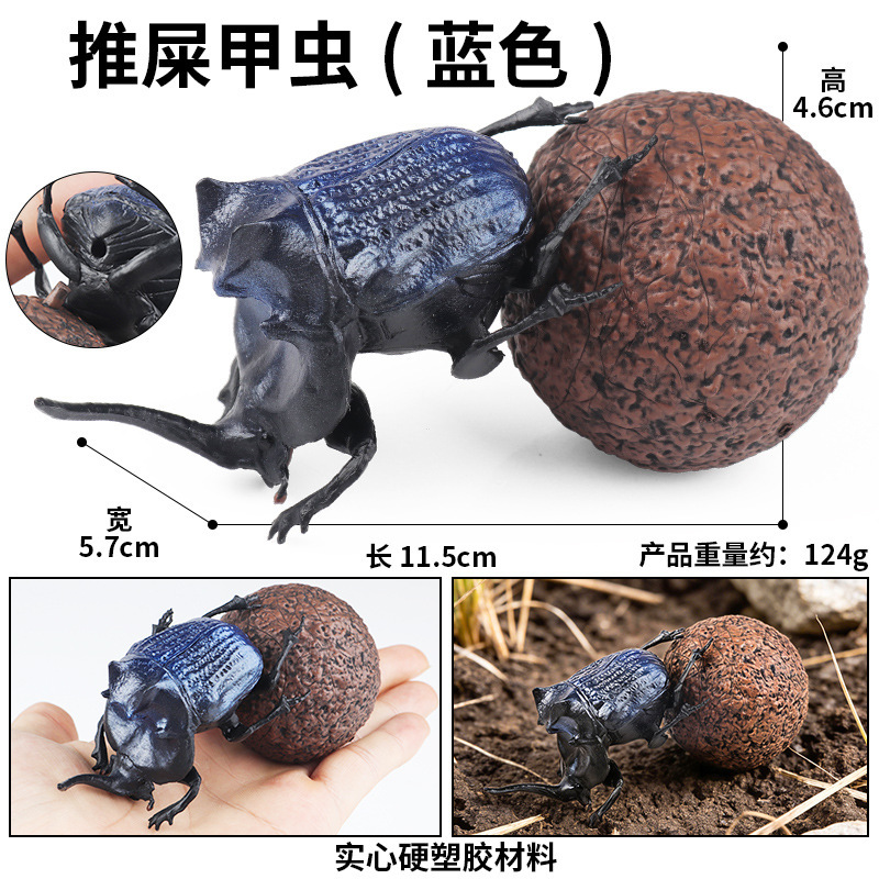 colorato M-2915 Potty Beetle blu