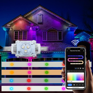 Outdoor Permanent Christmas Light Waterproof 48V <strong>Led</strong> Point <strong>Controller</strong> <strong>Programmable</strong> Addressable String Light Jelly Fish Light - Product Image 4